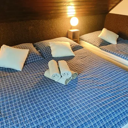 U Tomíčků Penzion 3*